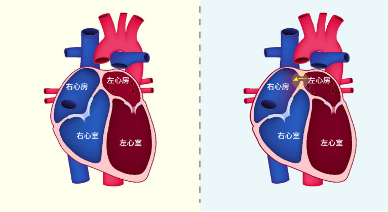 7a308dd6753c255ddd639f66db0ee052.png