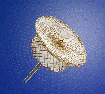 ea7a59db60b206ccde4676982a477cd1.png